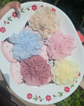 Five colorful fabric rosette flower hair clips with alligator backs arranged on a decorative plate, featuring cream, blue, pink, dusty rose, and yellow colors.